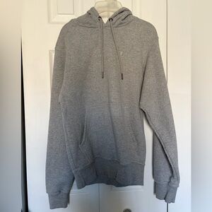 Gray Champion Hoodie